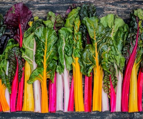 Rainbow Swiss Chard Seeds for Planting Heirloom Non GMO Packets 50 Seeds Plant & Grow Swiss Chard Home Outdoor Garden Great Gardening Gift - 1 Packet