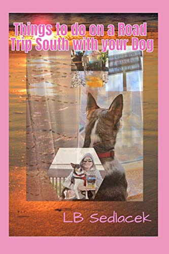 Things to Do on a Road Trip South with your Dog (Things to Do on Vacation Poems)