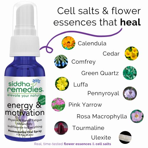 Siddha Remedies Energy & Motivation Spray | 100% Natural Homeopathic Remedy With Traditional Homeopathic Ingredients, Cell Salts And Flower Essences | No Alcohol No Sugar #TOP1
