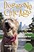 Doggone Chicago, Second Edition : Sniffing Out the Best Places to Take Your Best Friend