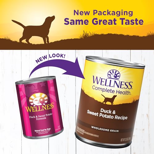 Image of Wellness Complete Health Pate Adult Canned Wet Dog Food, Wholesome Grains, Natural, Duck and Sweet Potato, 12.5 oz, Pack of 12 Cans