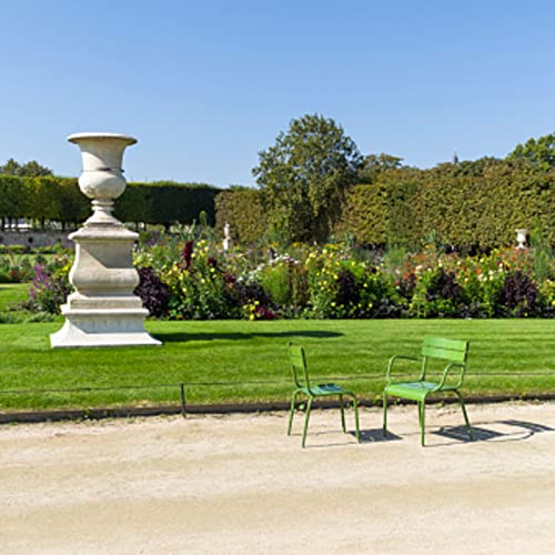 Therapy sessions in Nature