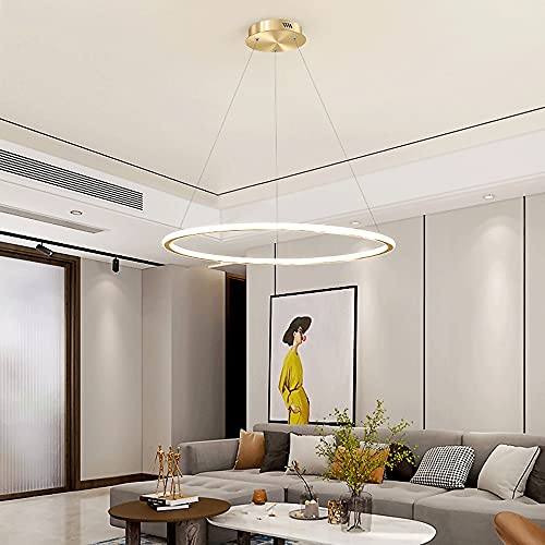 Lampes suspendues à LED 25W avec diffuseur minimaliste pour plafond