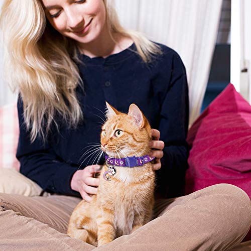 3Pcs Breakaway Cat Collars With Bell Golden Moon Glowing Sun And Star In The Dark For Kitten With Pendant #TOP7