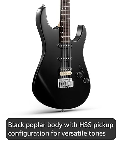 Amazon.com: Donner DMT-66 Solid Body Electric Guitar Kit for