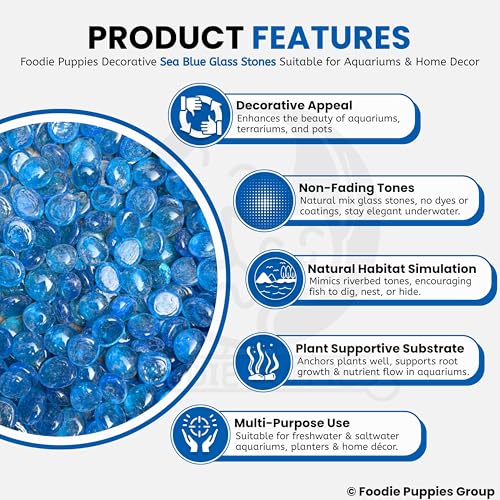 Image of Foodie Puppies Flat Glass Clear Stone (400gm, Sea Blue) (2cm - 2.5cm) for Aquariums, Fireplace, Firepit Glass for Indoor and Outdoor, Vase Filler, Hydroponics Plants, Home Decor, and DIY Craft
