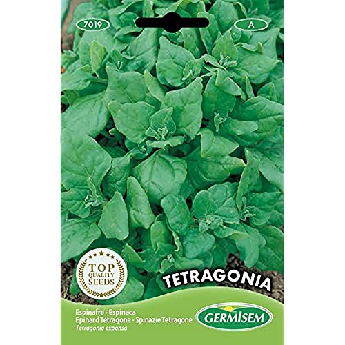 Germisem Tetragone Semillas de Espinacas 5 g