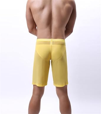 Men's Low Waist See Through Boxer Briefs Sexy Underwear Mesh Long Panties Soft Breathable Transparent Short Trunks