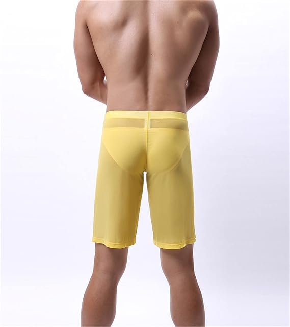 Men's Low Waist See Through Boxer Briefs Sexy Underwear Mesh Long Panties Soft Breathable Transparent Short Trunks