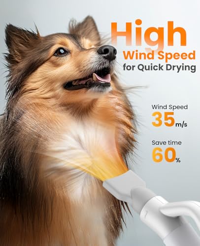 Oneisall Dog Dryer For Fast Blow-Drying,4-In-1 Quiet Dog Blow Dryer For Grooming With Adjustable Wind Speed&Temperature,Perfect For Small & Large Dogs At Home,Ideal For Quick&Efficient Drying thumb #1