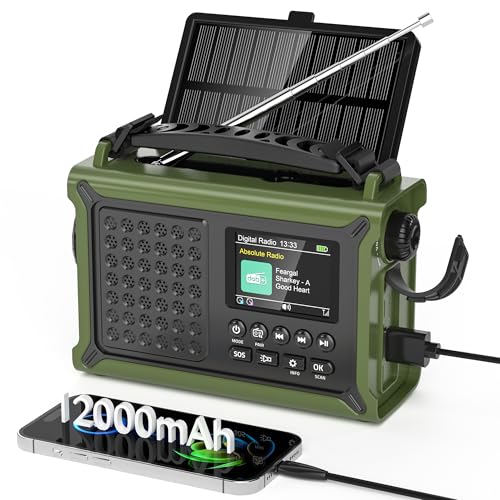 Radio Portable Dab/Dab+& FM, Radio Numérique avec Bluetooth 5.0, Écran Couleur 2,4