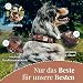 MICHUR Carlota Halsband Indianer, Hundehalsband Leder Braun, Lederhalsband Hund, Halsband, MIT TÜRKISEN Steinen, in verschiedenen Größen erhältlich