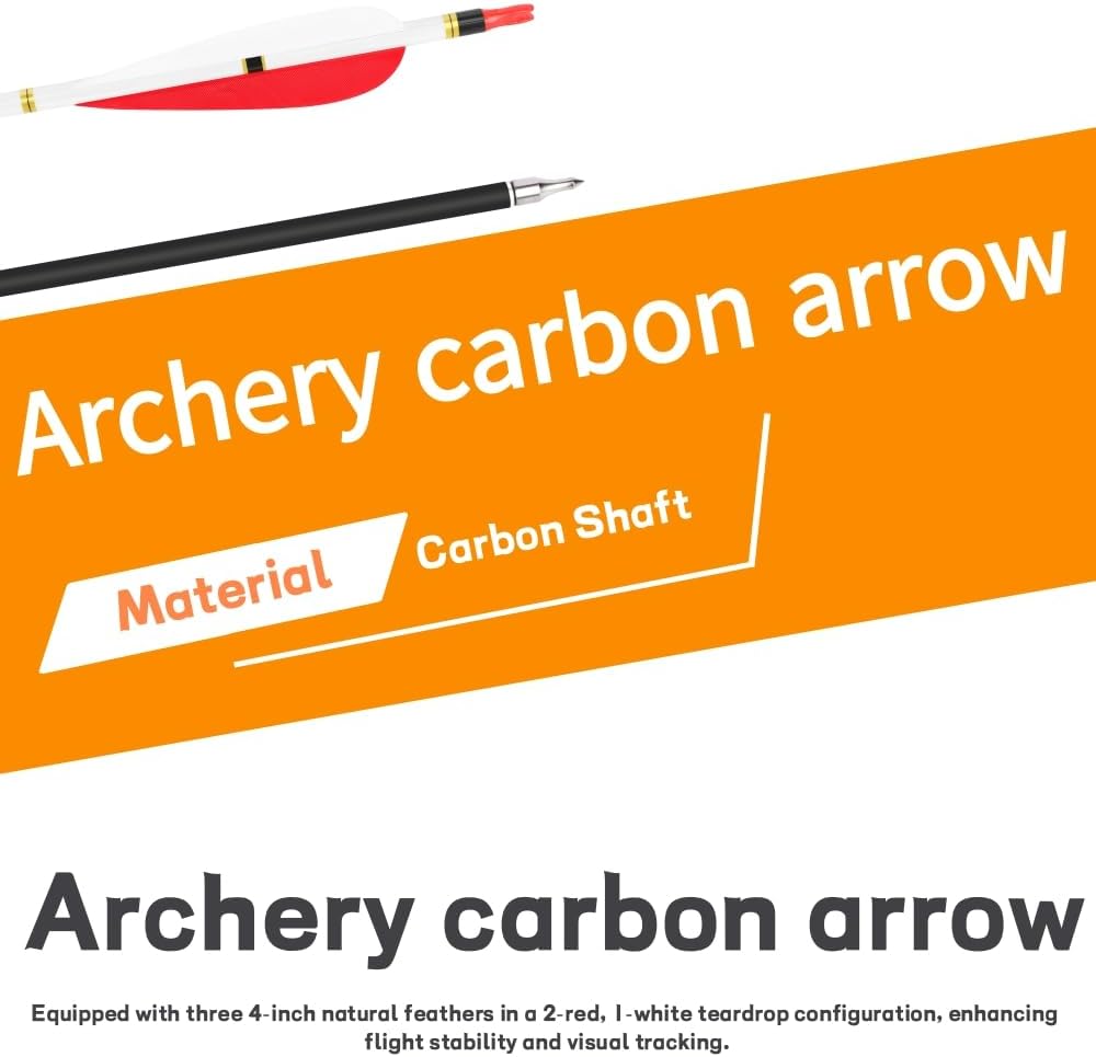 12pcs Spine500 Carbon Arrows 31.5inch Archery 100Grain Arrowhead for Recurve Compound Bow Target Hunting Shooting Practice