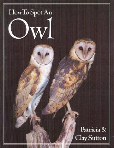 How to Spot an Owl (The How to Spot Series)