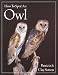 How to Spot an Owl
