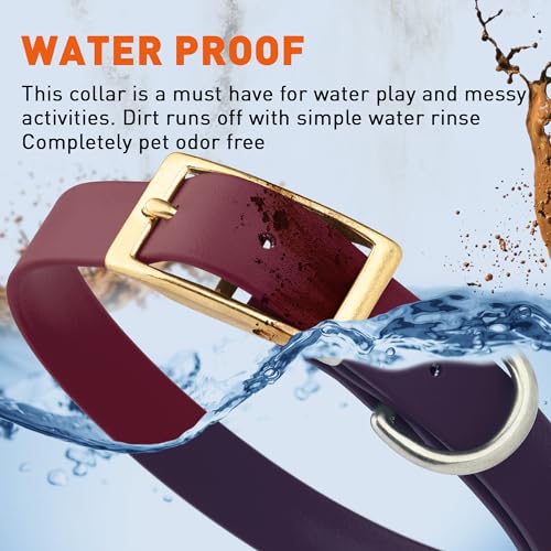 Image of Viper Biothane Heavy Duty Waterproof Dog Collar Strong Coated Nylon Webbing w /Solid Brass Hardware Odor-Proof Easy to Clean High Performance Fits Small Medium or Large Dogs, Merlot Burgundy