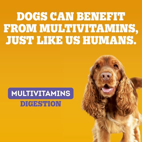 PEDIGREE Multivitamins Digestion 30 Soft Dog Chews 180 g - Image 4