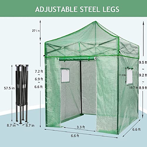 Rlairn Pop Up Greenhouse For Outdoors Heavy Duty With Roll-Up Door And Screen Windows Walk In Green House For Plants With Pe Cover Portable Greenhouses For Patio Backyard 6.6X6.6X9.5 Ft #TOP3