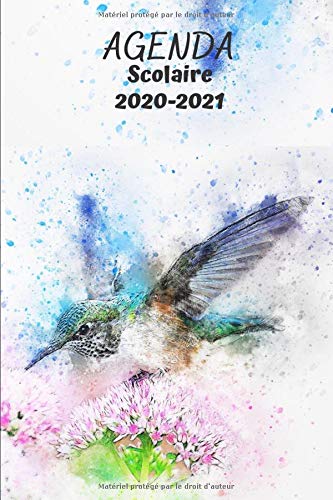 TĂ©lĂ©charger Agenda Scolaire 2020-2021: agenda journalier (1 sept. 2020 – 31 aoĂ»t 2021) – 345 pages – Form PDF Ebook En Ligne