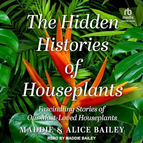 Immerse Yourself In The Full Audiobook Everyone Is Talking About — So Life-Enhancing!