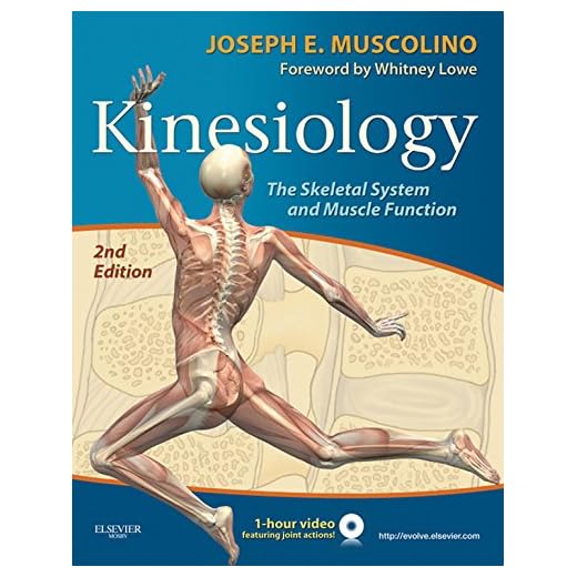 Kinesiology - E-Book: The Skeletal System and Muscle Function (English Edition)