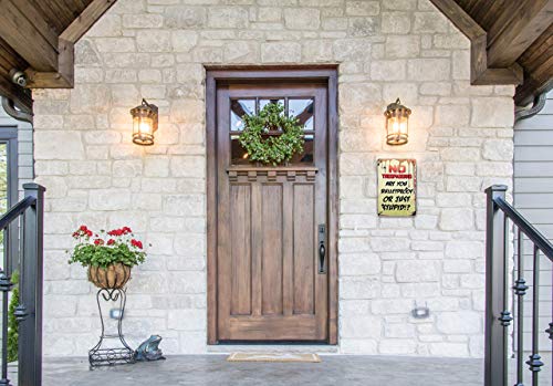 TOCMANE Fresh Eggs for Sale Hühnerstall, Blechschild, Metallposter, 20,3 x 30,5 cm – Bild 5