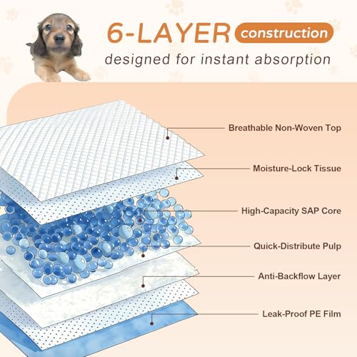 Image of Extra Large Dog Pee Pads 31x47 40 Count Heavy Duty Absorbent Puppy Pad | 6-layer super absorbent, Leak-proof, Wee wee pads, Big dogs, Multi-pet homes, Heavy duty protection, Against spills & odors