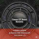 q-tech nowy dwór gda?ski  Q-Tracks For Your Dj Set Tech House 4
