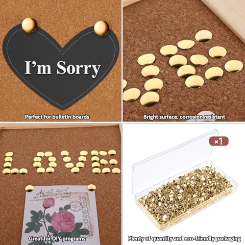 500 Stück Goldene Reißzwecken Edelstahl Rostfrei, Reißnägel Gold Reißnägel Rostfrei Metall, Heftzwecken Edelstahls, Rostfreie Reißzwecken Metall, Reißnägels Großer Kopf Outdoor Flach