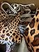 ALM Hair on Hide Cow Calf Scraps Leopard Cheetah Zebra Giraffe Animal Print | Medium Pieces Random Sizes | 6-7 Square Feet Cowhide Calf Hair-ON Remnants for Crafts, Earrings, Jewelry ONE (1) Pound