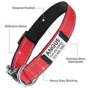 TagME Collare Personalizzato per Cani Imbottito, Riflettente in Nylon con Targhetta Identificativa, Regolabile per Cani di Taglia Grande, Rosso, XL - immagine 2