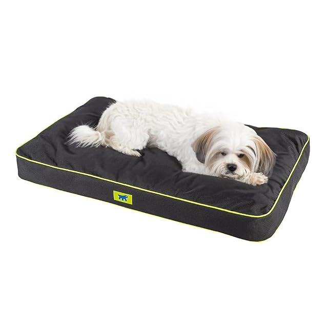 FERPLAST - Cama para Perros y Gatos - Perrera ortopédica pequeña - Colchoneta para Perros - Perrera para Gatos