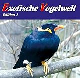 Exotische Vogelwelt - Vogelstimmen aus aller Welt: Allfarblori, Ararauna, Beo, Bourkesittich, Diamanttäubchen, Graupapagei, Halsbandsittich, ... Venezuelaamazone, Wellensittich, Zebrafink