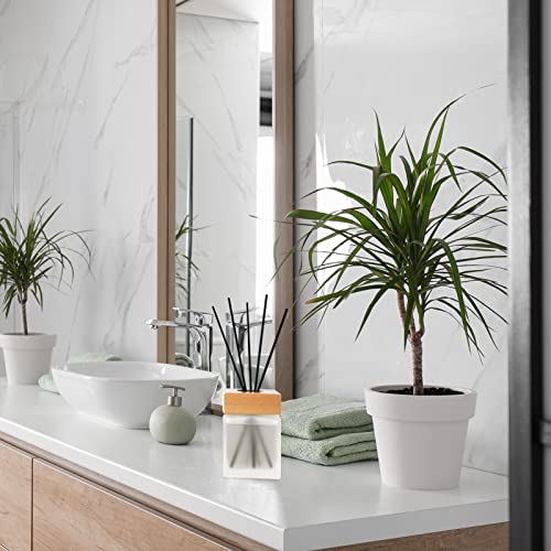 Brakula Fragrances Reed Diffuser, Jasmine Scented Reed Diffuser Set With 10 Oil Diffuser Sticks, 6.1 Oz /180Ml #TOP3