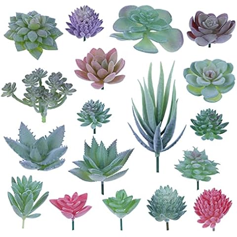 LUTAKU 18 Pack Realistic Artificial Succulent Plants Cover