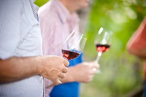 Kellerei Kaltern Goldmuskateller Moscato Giallo Südtirol Wein lieblich, 750ml