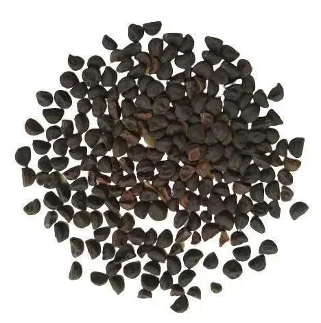 Image of Morning Glory Flower Seeds 25 Plus Mixed Color for Planting Climbing Vine Flower Seeds for Home Garden Balcony Terrace Easy Grow Fast Growing Blooming Plants Indoor Outdoor Gardening (morning glory..)