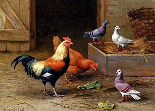 Peinture colombe et coq Edgar Hunt, toile animalière symbole de sérénité