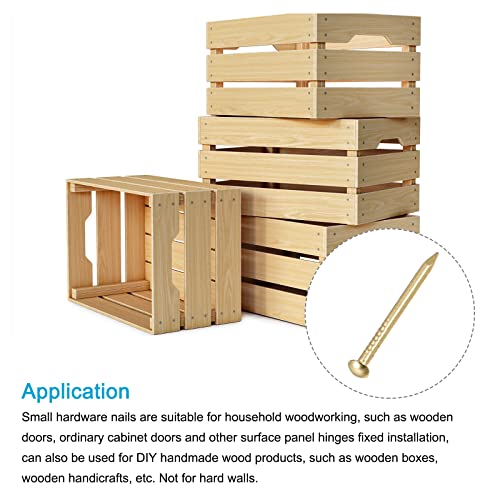 METALLIXITY Klein Nägel (1.5x25mm) 100Stk Messing Winzig Hardware Nägel - für Haushalt Holzbearbeitung Messing Ton