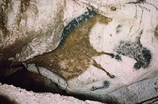 Horse - Depth of Axial Corridor Prehistoric Art France Lascaux Caves Poster Print (18 x 24)