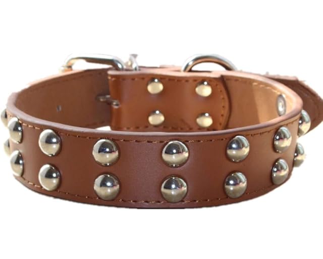 haoyueer Collar de perro de cuero de 1.2 pulgadas de ancho con tachuelas para razas medianas y grandes…