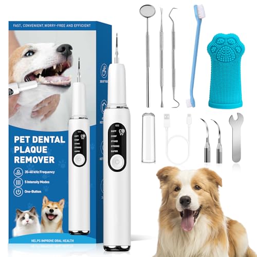 SylvanSparkKitchen 5-Mode Dog Toothbrush