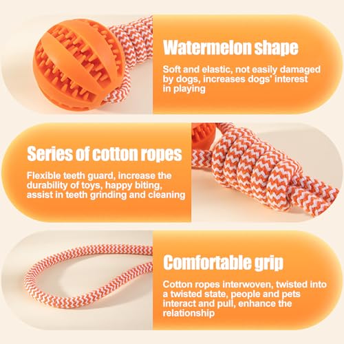 GmwyCzV 3 Stück Hundespielzeug,5cm Hundespielzeug Ball mit Seil Naturkautschuk Ball,Interaktives Hundeball Spielzeug,Kauspielzeug für kleine mittlere große Hunde für Zahnpflege (Blau Orange Grün)