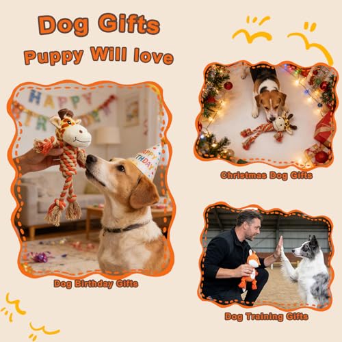 Juguetes para Perros Squeaky 3 Pack Pequeño y Mediano miniatura 4