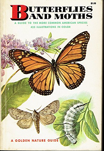 Butterflies and Moths - A Golden Nature Guide B001ECWLV4 Book Cover
