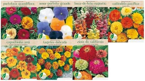 Kit 7 Sementes Flores Grandes Coloridas Ornamentais Para Vasos Canteiros Jardim Bu...