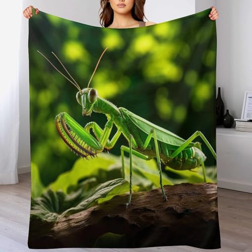 Couverture polaire mante religieuse pour soirées cocooning sur canape et voyage