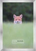 Vista 3 de Marco de 28 x 36 pulgadas de madera de peltre plateado con plexiglás acrílico UV, parte trasera de tablero de espuma y accesorios incluidos