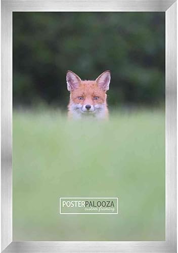 Miniatura 3 de Marco de 28 x 36 pulgadas de madera de peltre plateado con plexiglás acrílico UV, parte trasera de tablero de espuma y accesorios incluidos