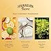 Hawaiian Tropic Hydrating Shower Gel, Body Wash 5 Pack, 380ml Bottle, Silky Coconut Scent, SLS Free, Paraben Free, Hotel Bathroom Amenities, Bulk Size, Air Bnb, Guest Bathroom Essentials, Airbnb